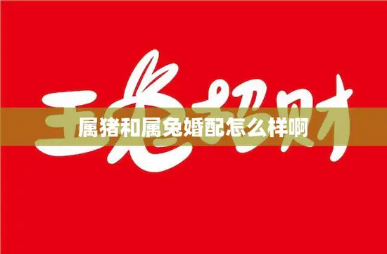 属猪和属兔婚配怎么样啊(解析属相配对的奥秘)