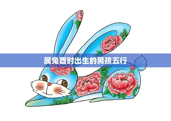 属兔酉时出生的男孩五行(五行缺土如何补救)