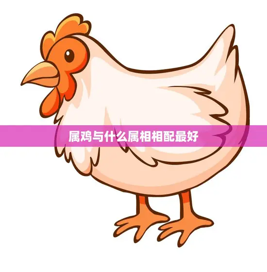 属鸡与什么属相相配最好(完美的星座配对)