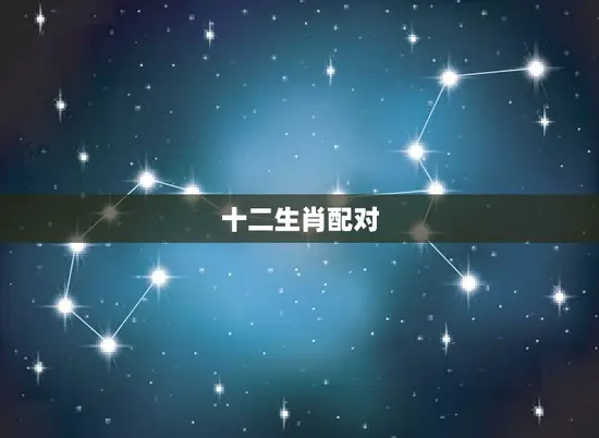 十二生肖配对表查询(如何找到配对)