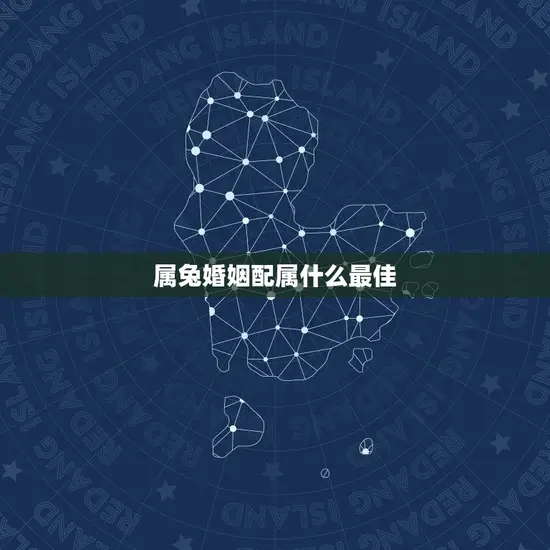 属兔婚姻配属什么(如何选择最适合的伴侣)