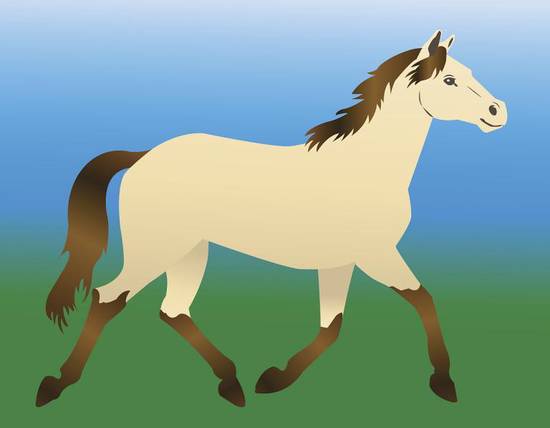 属马生肖与什么生肖相克(马与哪些生肖不合)