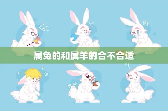 属兔的和属羊的合不合适(星座配对分析)