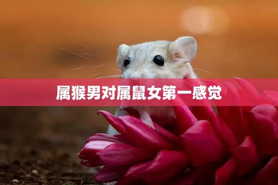 属猴男对属鼠女第一感觉(初遇缘分还是错觉)