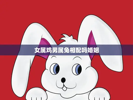女属鸡男属兔相配吗婚姻(如何避免婚姻矛盾)