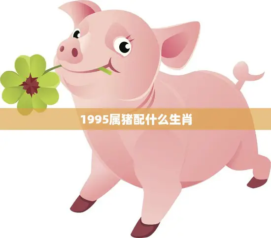 1995属猪配什么生肖(最佳搭档大揭秘)
