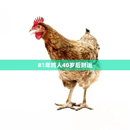 81年鸡人40岁后财运(如何翻身成为财富巨头)