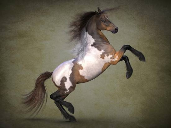 2023马的运势和财运(财运亨通运势旺盛)