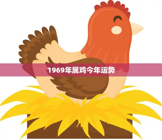 1969年属鸡今年运势(事业顺遂财运亨通)