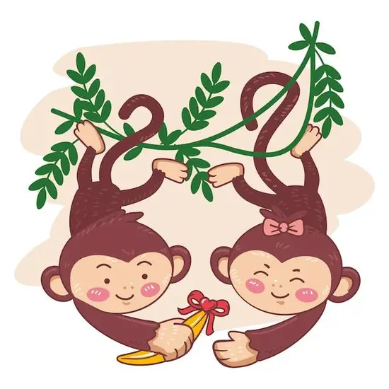 1992年男猴婚姻命运(婚姻运势如何)