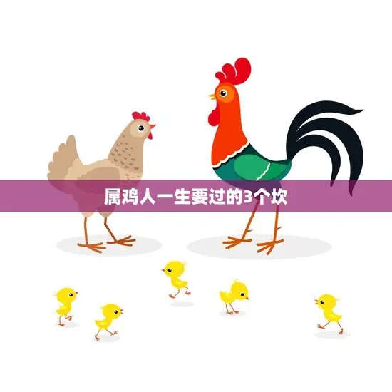 属鸡人一生要过的3个坎(如何化解)