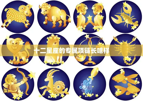 十二星座的专属项链长啥样(打造属于你的独特魅力)