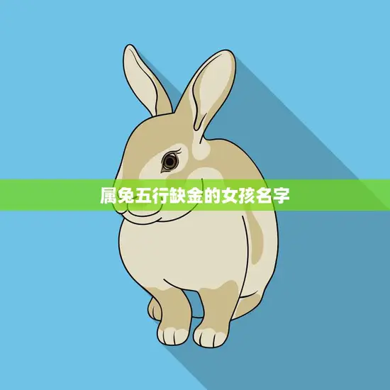 属兔五行缺金的女孩名字(如何选择)
