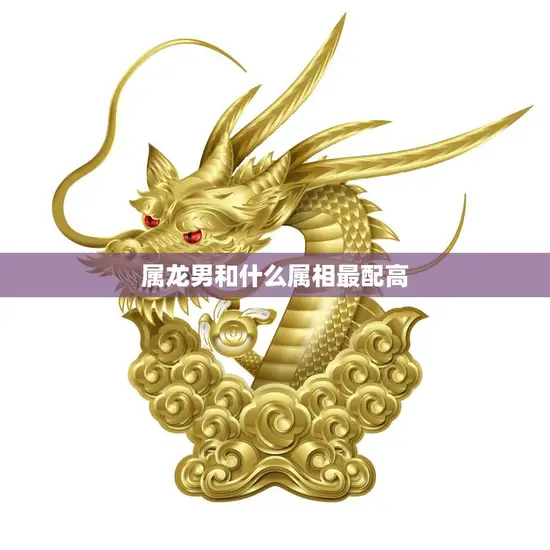 属龙男和什么属相最配高(最佳配对星座大揭秘)