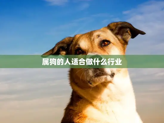 属狗的人适合做什么行业(职场发展指南)