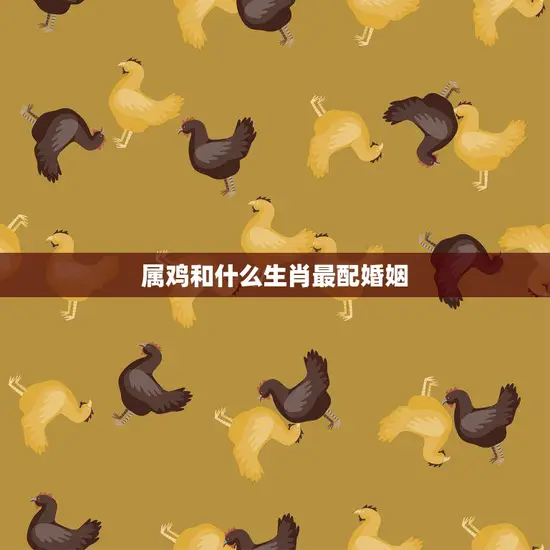 属鸡和什么生肖最配婚姻(完美配对的秘诀揭秘)