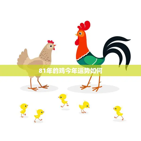 81年的鸡今年运势如何(2023年运势大揭秘)