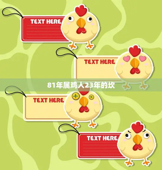 81年属鸡人23年的坎(如何克服人生的挑战)