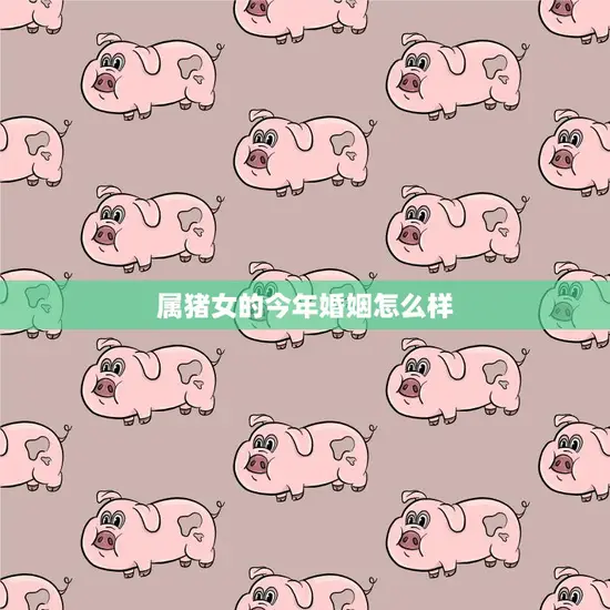 属猪女的今年婚姻怎么样(2023年猪女命婚姻运势大揭秘)