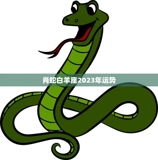肖蛇白羊座2023年运势(好运连连财运亨通)