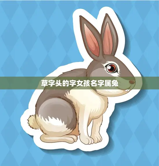 草字头的字女孩名字属兔(如何选择适合的名字)