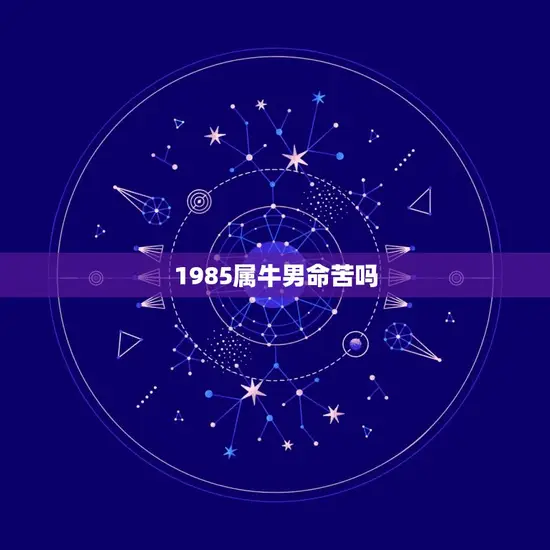 1985属牛男命苦吗(介绍命运如何影响人生)