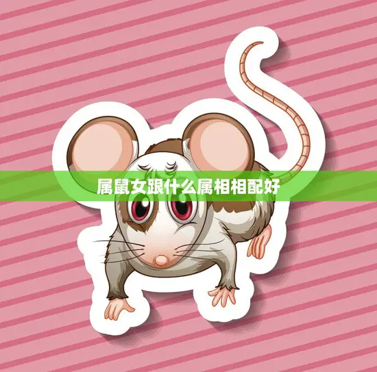 属鼠女跟什么属相相配好(完美配对指南)