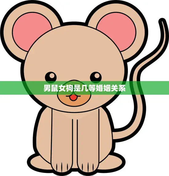 男鼠女狗是几等婚姻关系(解析十二生肖婚配等级)