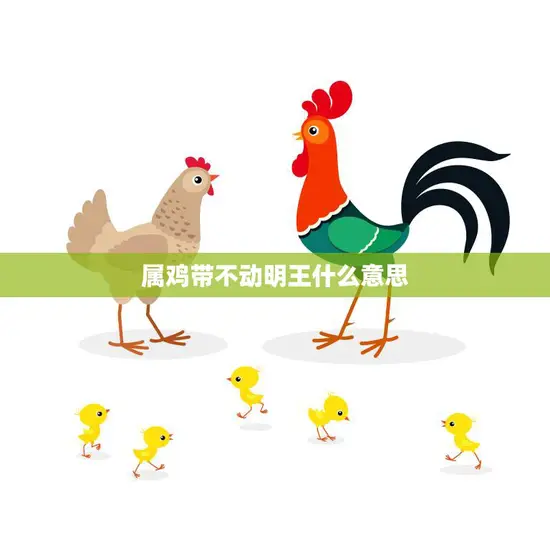 属鸡带不动明王什么意思(解读属相与教文化的奇妙结合)