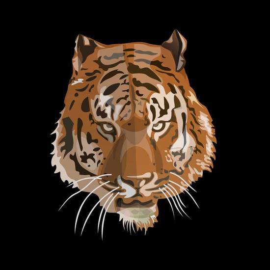 寅时出生的虎命数是多少(揭秘你的命运之数)