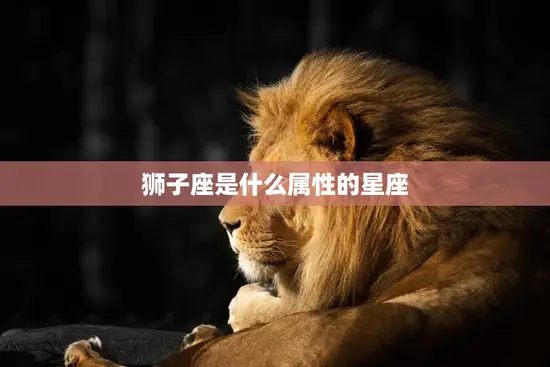 狮子座是什么属性的星座(探秘狮子座的性格特征)