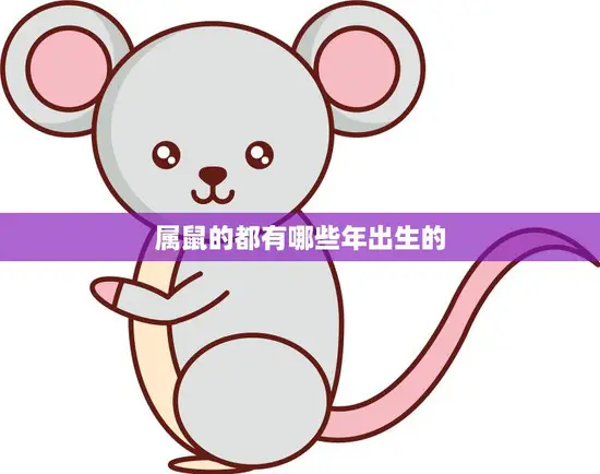 属鼠的都有哪些年出生的(详解属鼠人的命运与性格特点)