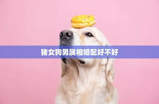 猪女狗男属相婚配好不好(解析星座专家告诉你)