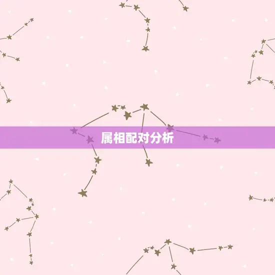 男猪和龙女属相合不合(属相配对分析)
