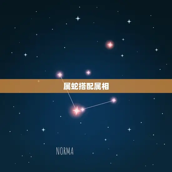 属蛇跟什么属相配(介绍蛇与哪些属相搭配)