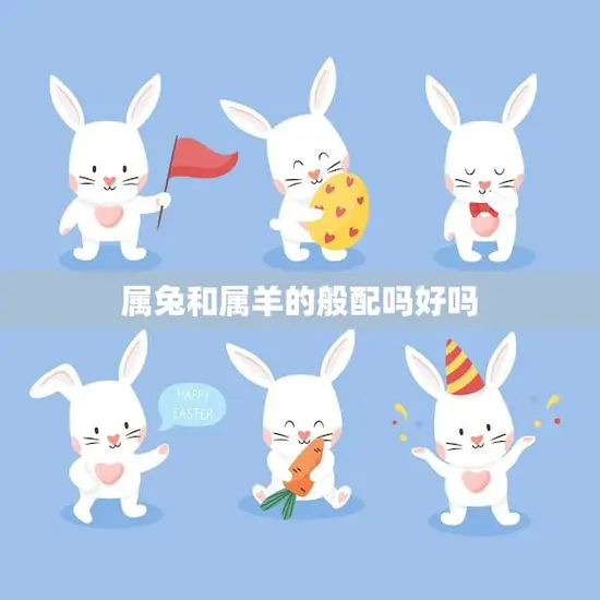 属兔和属羊的般配吗好吗(解析属相配对的秘密)