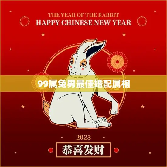 99属兔男最佳婚配属相(如何选择最适合的伴侣)
