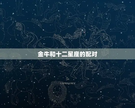 金牛和十二星座的配对(星座之间的爱情奇妙旅程)