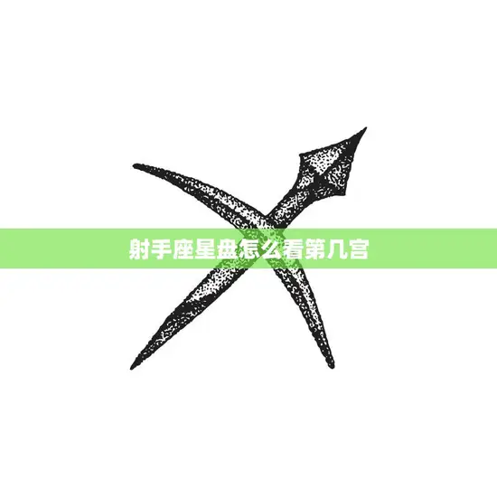 射手座星盘怎么看第几宫(解读你的命运走向)