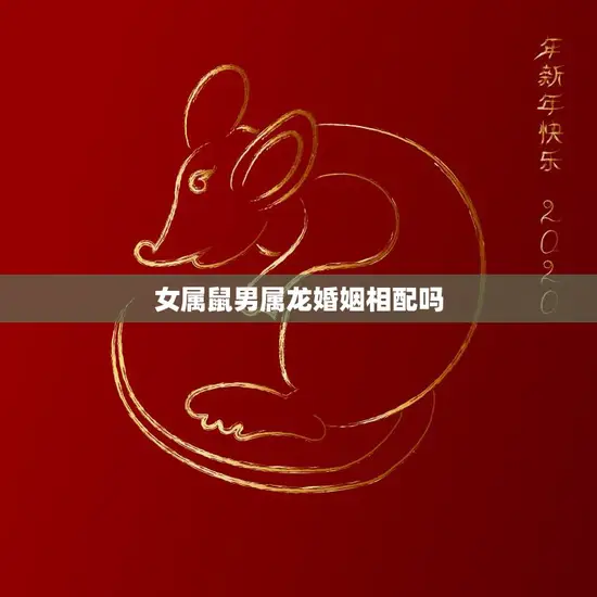 女属鼠男属龙婚姻相配吗(解析星座配对的奥秘)