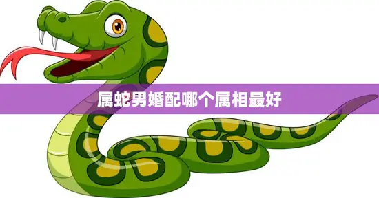 属蛇男婚配哪个属相最好(最佳婚配星座大揭秘)