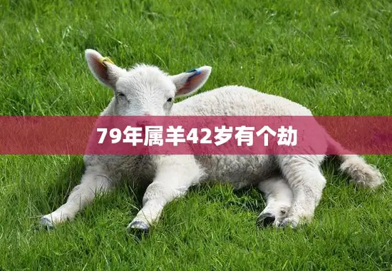 79年属羊42岁有个劫(如何化解)