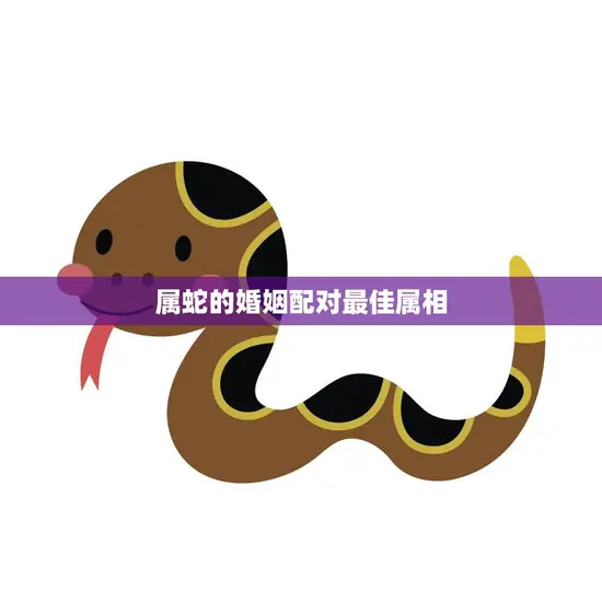 属蛇的婚姻配对最佳属相(如何选择最适合的伴侣)