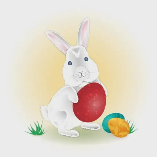 生肖兔今日运势图解