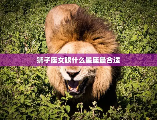 狮子座女跟什么星座最合适(寻找最佳星座匹配)