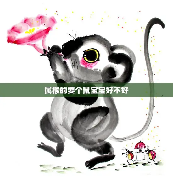 属猴的要个鼠宝宝好不好(为什么属猴的人喜欢鼠宝宝)