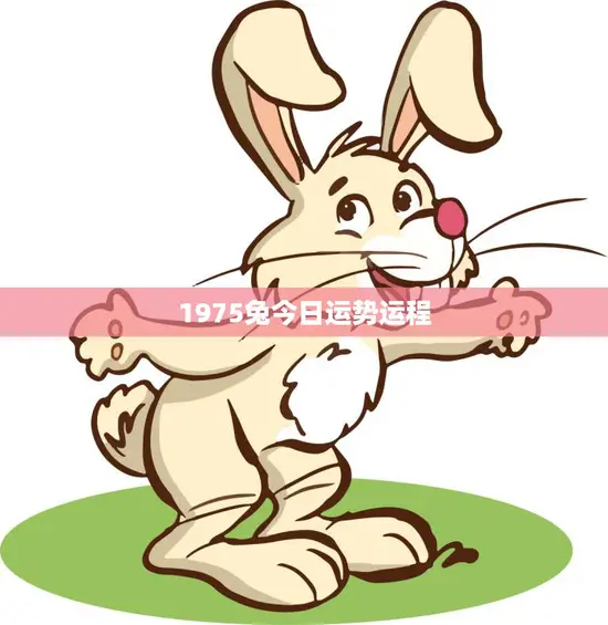 1975兔今日运势运程(好运连连财源滚滚)
