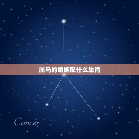 属马的婚姻配什么生肖(如何选择婚姻伴侣)