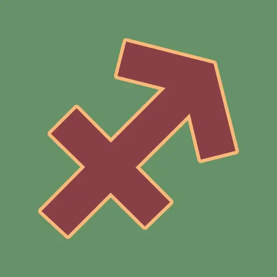 射手座男和哪个星座最配(星座大揭秘最佳配对星座)