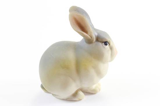 99年男兔的婚姻和命运(如何影响他的人生轨迹)